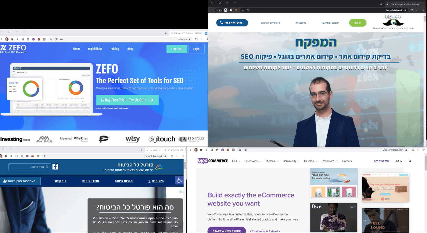 קידום אתרים עבור סוגי אתרים שונים - חנות אינטרנטית - אתר תדמית - אפליקציה אינטרנטית - נכס דיגיטלי