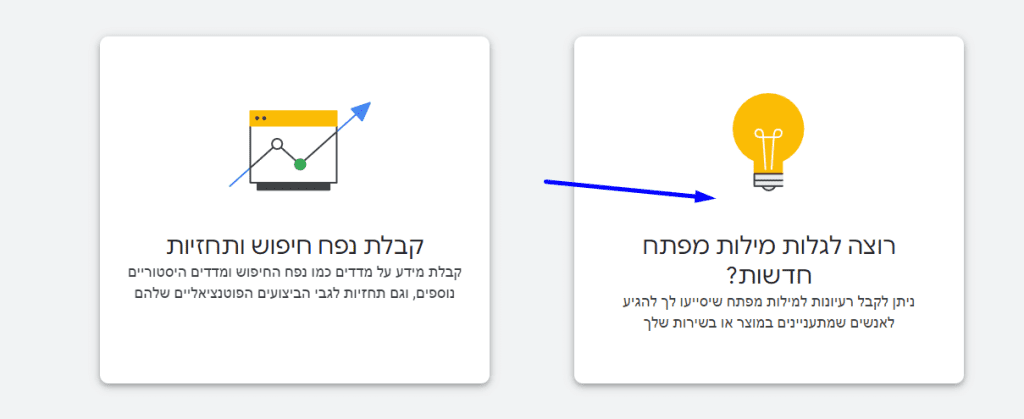 צילום מסך - רגע לפני הכניסה לכלי לגלוי מילות חיפוש נוספות