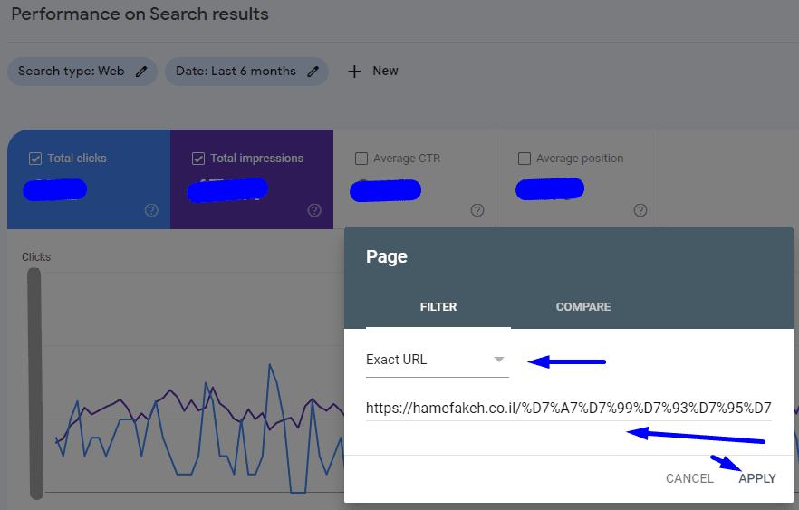 צילום מסך - גוגל סרץ' קונסול עבודה עם Exact URL