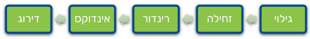 תרשים זרימה - 5 השלבים של מנוע חיפוש גוגל - גילוי, זחילה, רינדור, אינדוקס, דירוג